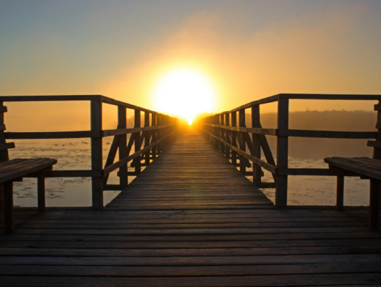 Our Mission and Approach